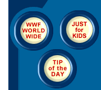 WWF World Wide & Tip of the Day & Just for Kids